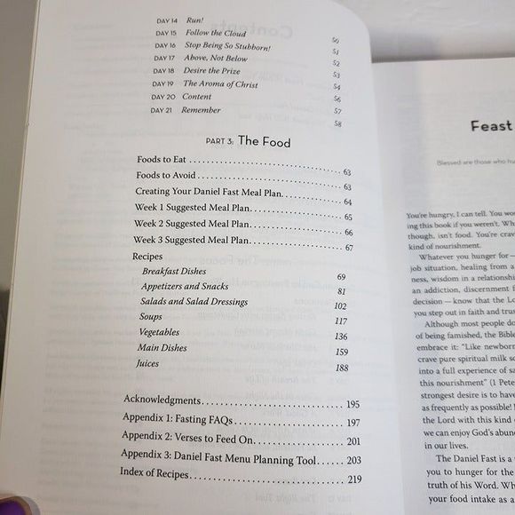 The Ultimate Guide To the Daniel Fast PB Book Cookbook by Kristen Feola - Picture 7 of 10